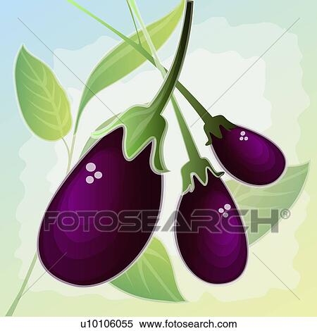 Stock Illustration - Close-up of three eggplants. Fotosearch