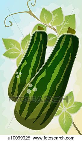 Stock Illustration - Close-up of two cucumbers. Fotosearch