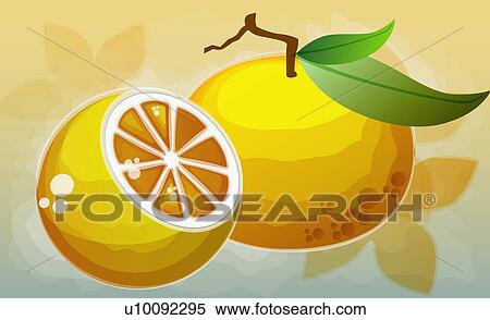 Stock Illustration - Close-up of two oranges. Fotosearch