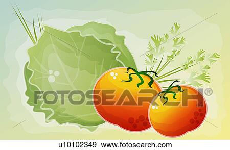 Stock Illustration - Close-up of two tomatoes with a cabbage and cilantro. Fotosearch