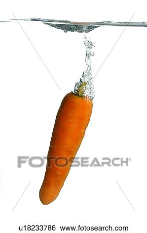A carrot falling into water View Large Photo Image Stock Photograph - A carrot falling into water. Fotosearch