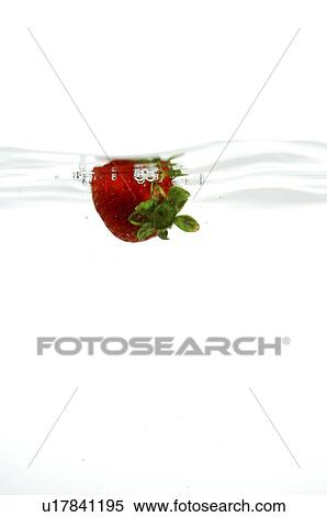 A single ripe strawberry floating on water View Large Photo Image Stock Photography - A single ripe strawberry floating on water. Fotosearch