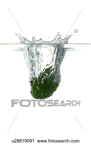 Bitter melon falling into water, splashing water upwards View Large Photo Image Stock Image - Bitter melon falling into water, splashing water upwards. Fotosearch