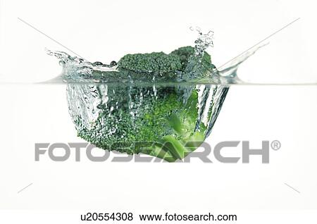 broccoli splashing into water View Large Photo Image Stock Photo - broccoli splashing into water. Fotosearch