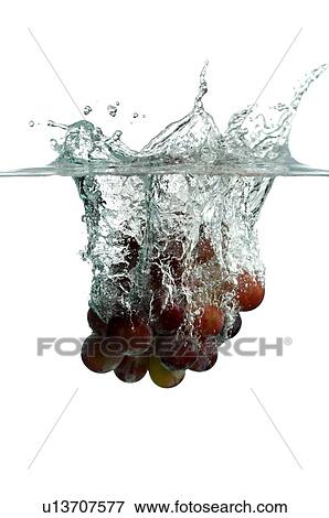 Bunch of grapes falling into water View Large Photo Image Stock Photo - Bunch of grapes falling into water. Fotosearch