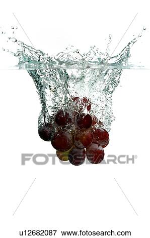 Bunch of red grapes falling into water, splashing water upwards View Large Photo Image Stock Photo - Bunch of red grapes falling into water, splashing water upwards. Fotosearch