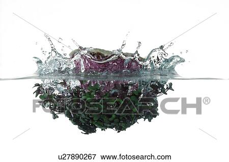 Bunch of vegetables falling into water View Large Photo Image Stock Photo - Bunch of vegetables falling into water. Fotosearch
