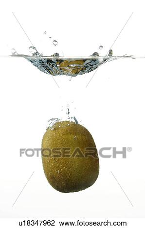 Stock Image - Kiwi falling into water. Fotosearch
