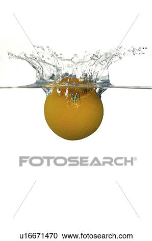 Orange falling into water, splashing water upwards View Large Photo Image Stock Image - Orange falling into water, splashing water upwards. Fotosearch