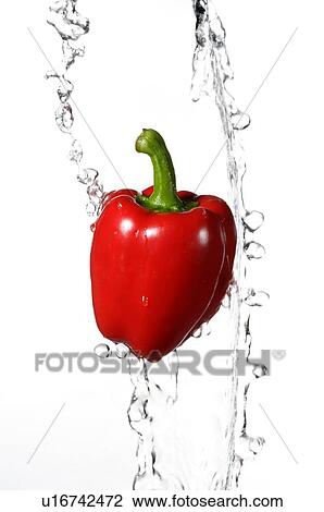 Red bell pepper against a falling stream of water View Large Photo Image Stock Image - Red bell pepper against a falling stream of water. Fotosearch