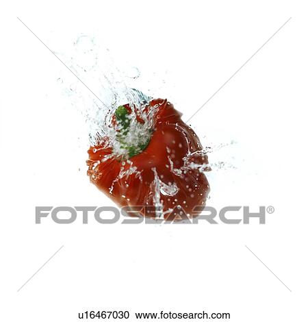Red bell pepper being splashed with water View Large Photo Image Stock Image - Red bell pepper being splashed with water. Fotosearch