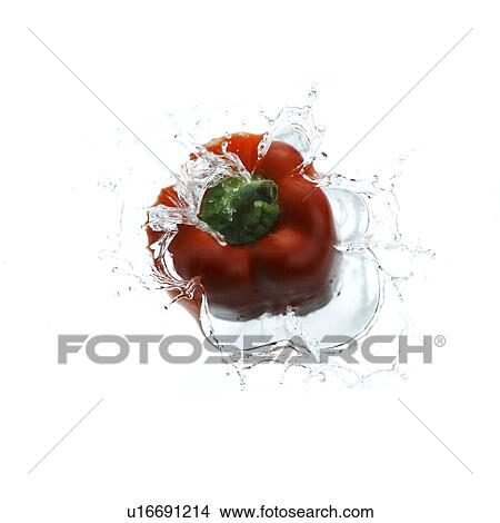 Red bell pepper falling into water, splashing water upwards View Large Photo Image Picture - Red bell pepper falling into water, splashing water upwards. Fotosearch