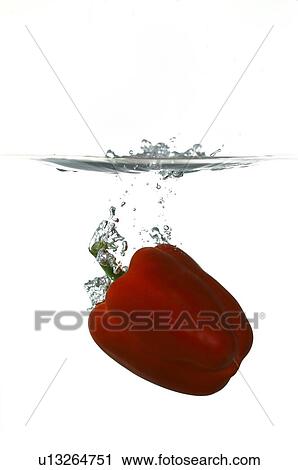 Red bell pepper falling into water View Large Photo Image Stock Image - Red bell pepper falling into water. Fotosearch