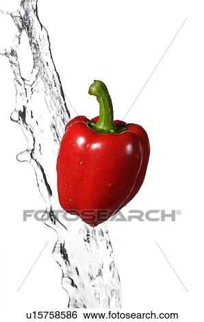 Stock Photograph - Red bell pepper next to a stream of water. Fotosearch
