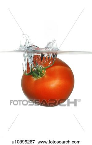 Red tomato falling into water View Large Photo Image Stock Photo - Red tomato falling into water. Fotosearch