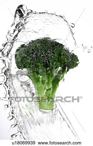 Stalk of broccoli being splashed with water View Large Photo Image Stock Photo - Stalk of broccoli being splashed with water. Fotosearch