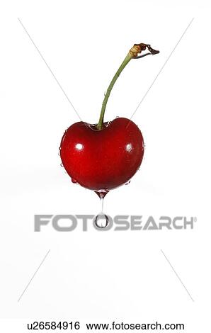 Stock Photograph - Wet ripe cherry, water dripping. Fotosearch