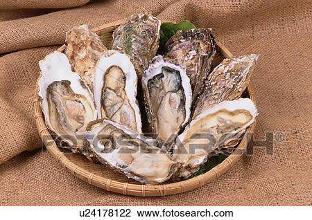 Plate Of Halved Oysters View Large Photo Image Stock Image - Plate Of Halved Oysters. Fotosearch