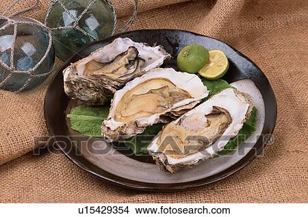 Picture - Plate Of Oysters. Fotosearch
