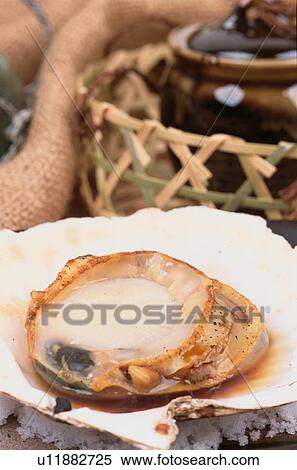 Stock Photography - Scallop With Shell. Fotosearch