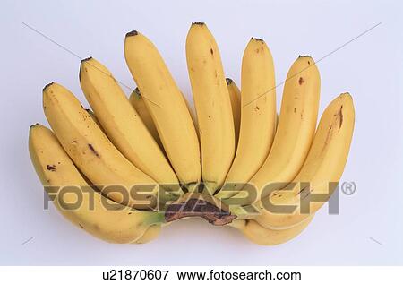 Stock Photo - Bunch Of Bananas. Fotosearch