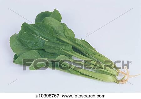 Bunch Of Vegetable Leaves View Large Photo Image Stock Photo - Bunch Of Vegetable Leaves. Fotosearch
