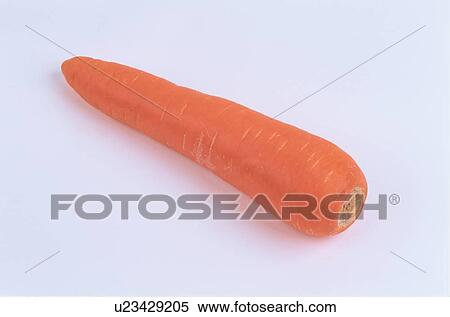 Stock Photography - Carrot. Fotosearch