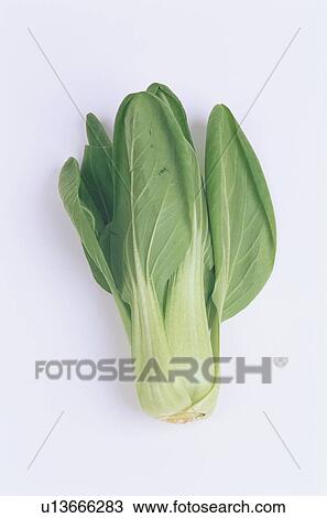 Chinese Cabbage View Large Photo Image Stock Image - Chinese Cabbage. Fotosearch
