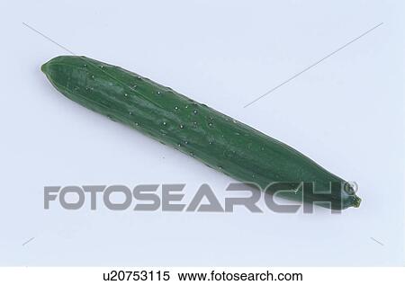 Stock Photography - Cucumber. Fotosearch
