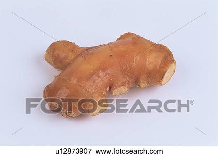 Stock Photo - Ginger. Fotosearch