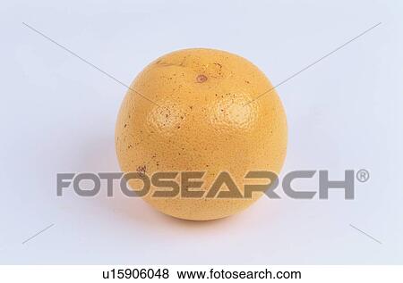 Stock Photo - Grapefruit. Fotosearch