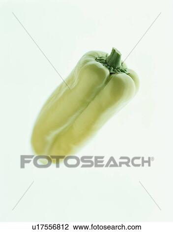 Stock Image - Green Bell Pepper. Fotosearch