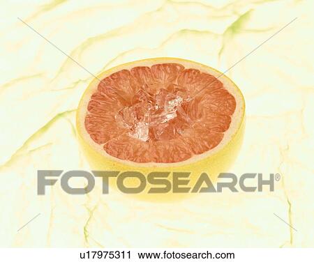 Half Of Pink Grapefruit View Large Photo Image Stock Image - Half Of Pink Grapefruit. Fotosearch
