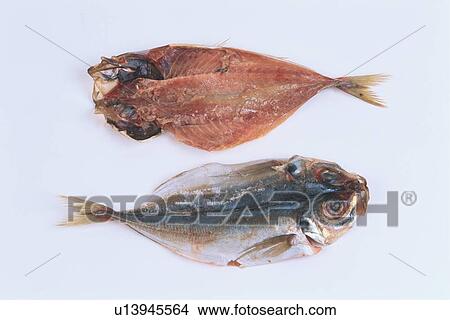 Picture - Halved Horse Mackerel. Fotosearch