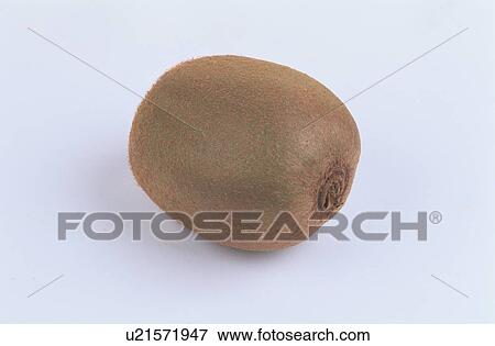 Kiwi Fruit View Large Photo Image Stock Photo - Kiwi Fruit. Fotosearch