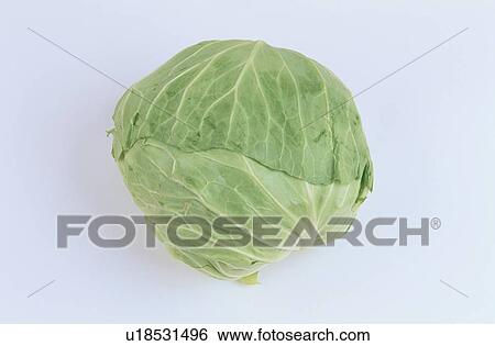 Leaves Of Cabbage View Large Photo Image Stock Photograph - Leaves Of Cabbage. Fotosearch