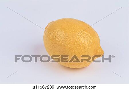 Lemon View Large Photo Image Stock Photo - Lemon. Fotosearch