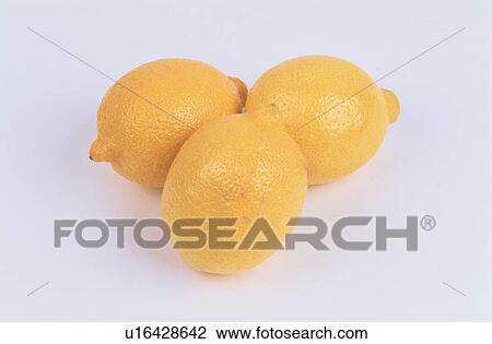 Lemons View Large Photo Image Stock Image - Lemons. Fotosearch