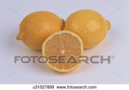 Stock Photo - Lemons. Fotosearch