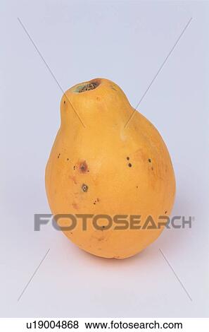 Papaya View Large Photo Image Stock Photo - Papaya. Fotosearch