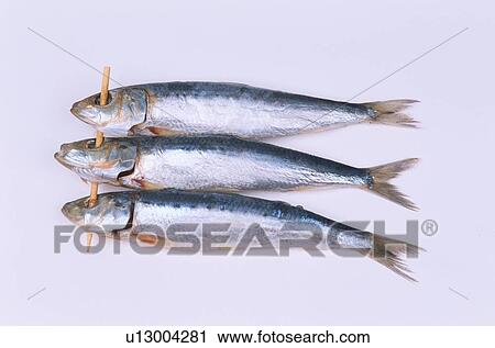 Pierced Sardines View Large Photo Image Stock Image - Pierced Sardines. Fotosearch