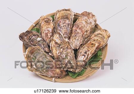 Stock Photo - Plate Of Oyster Shells. Fotosearch