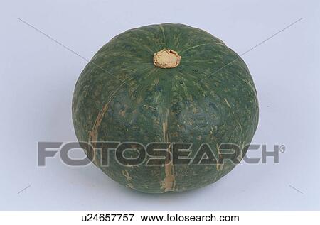 Pumpkin View Large Photo Image Stock Photo - Pumpkin. Fotosearch