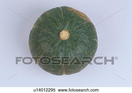 Pumpkin View Large Photo Image Stock Photography - Pumpkin. Fotosearch