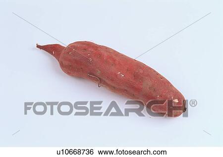 Stock Photograph - Sweet Potato. Fotosearch