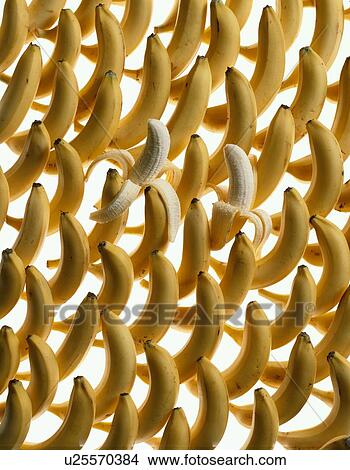 Picture - Bananas. Fotosearch