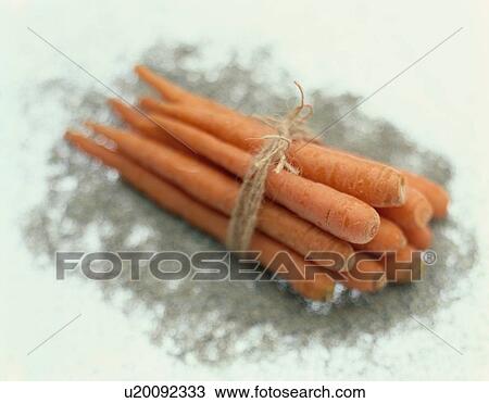 Stock Image - Bunch Of Tied Carrots. Fotosearch