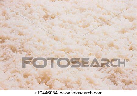 Cooked Rice View Large Photo Image Picture - Cooked Rice. Fotosearch
