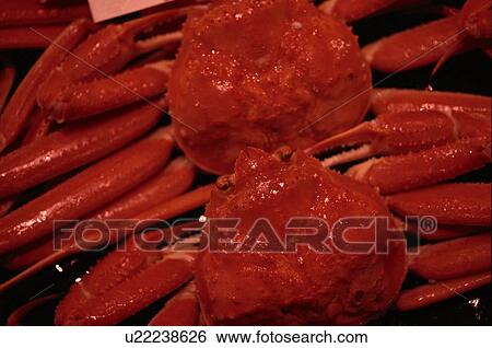 Stock Photograph - Crabs. Fotosearch