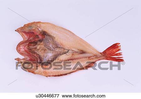 Dried Fish View Large Photo Image Stock Photo - Dried Fish. Fotosearch